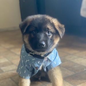 Meet your Posher, Jonathan